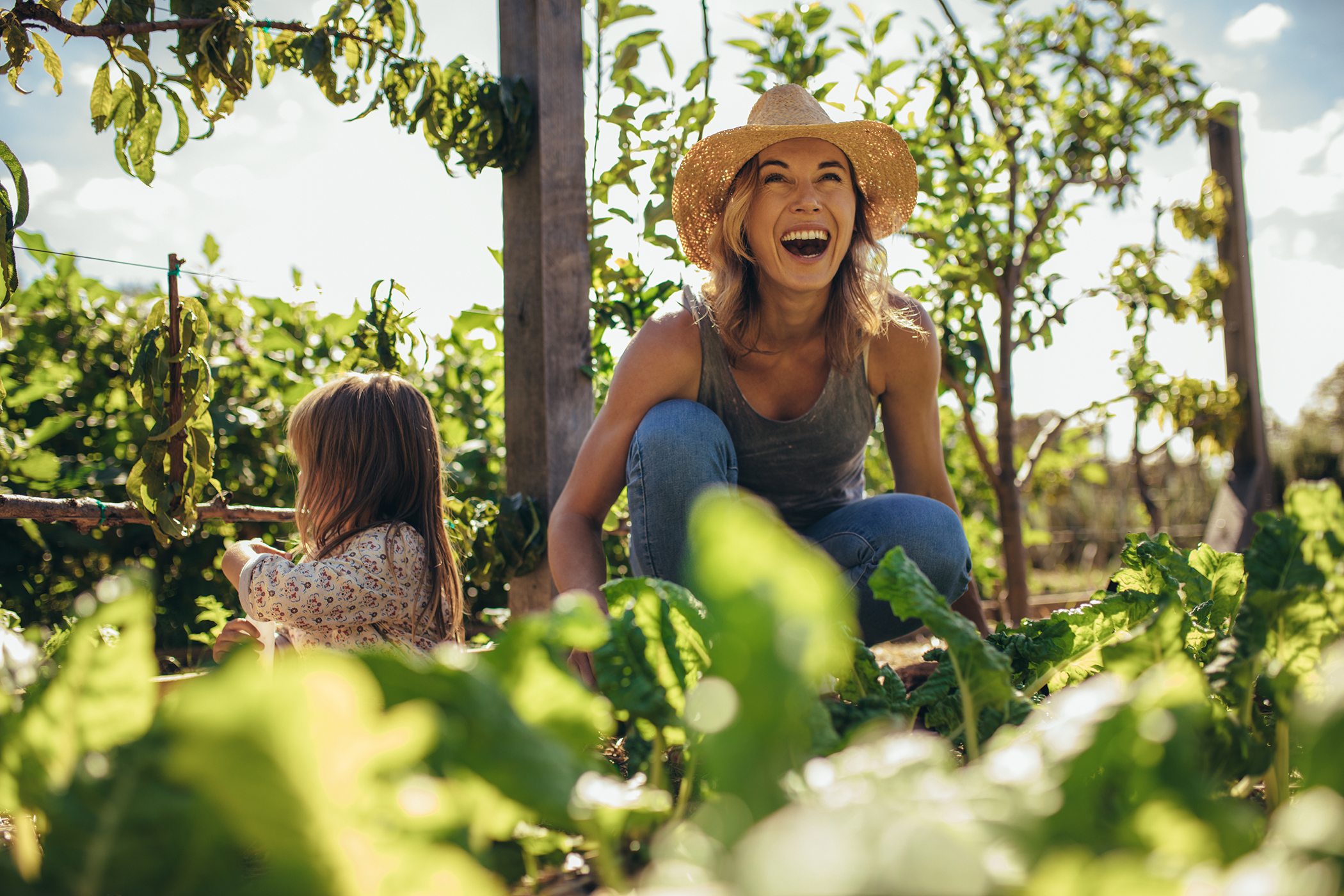 A special offer to get your oral health back on track