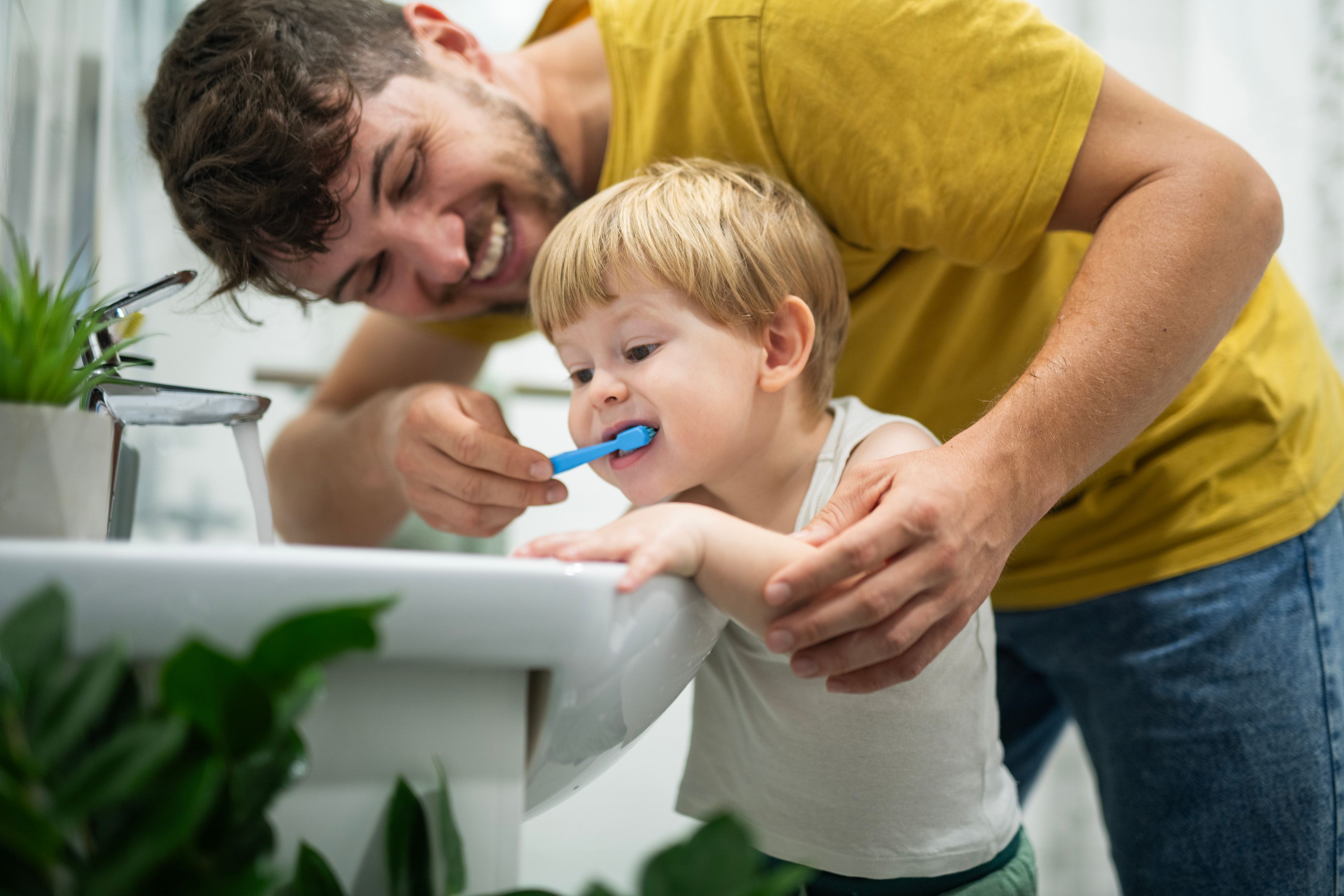 Child Dental Benefits Schedule