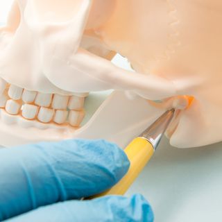 Image of a dentist pointing out the pain points of TMJ disorder on a plastic skull.