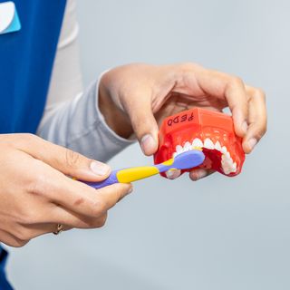 Book Your Check-Up Today