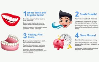 Infographic of the four benefits of brushing and flossing your teeth.