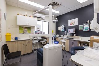 Modern spaces designed for dental care