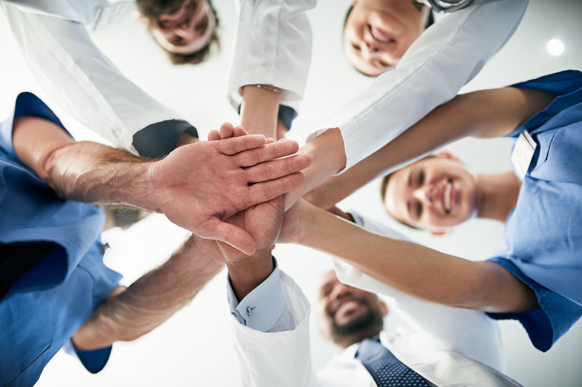 Meet Our Team