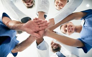 Meet Our Team
