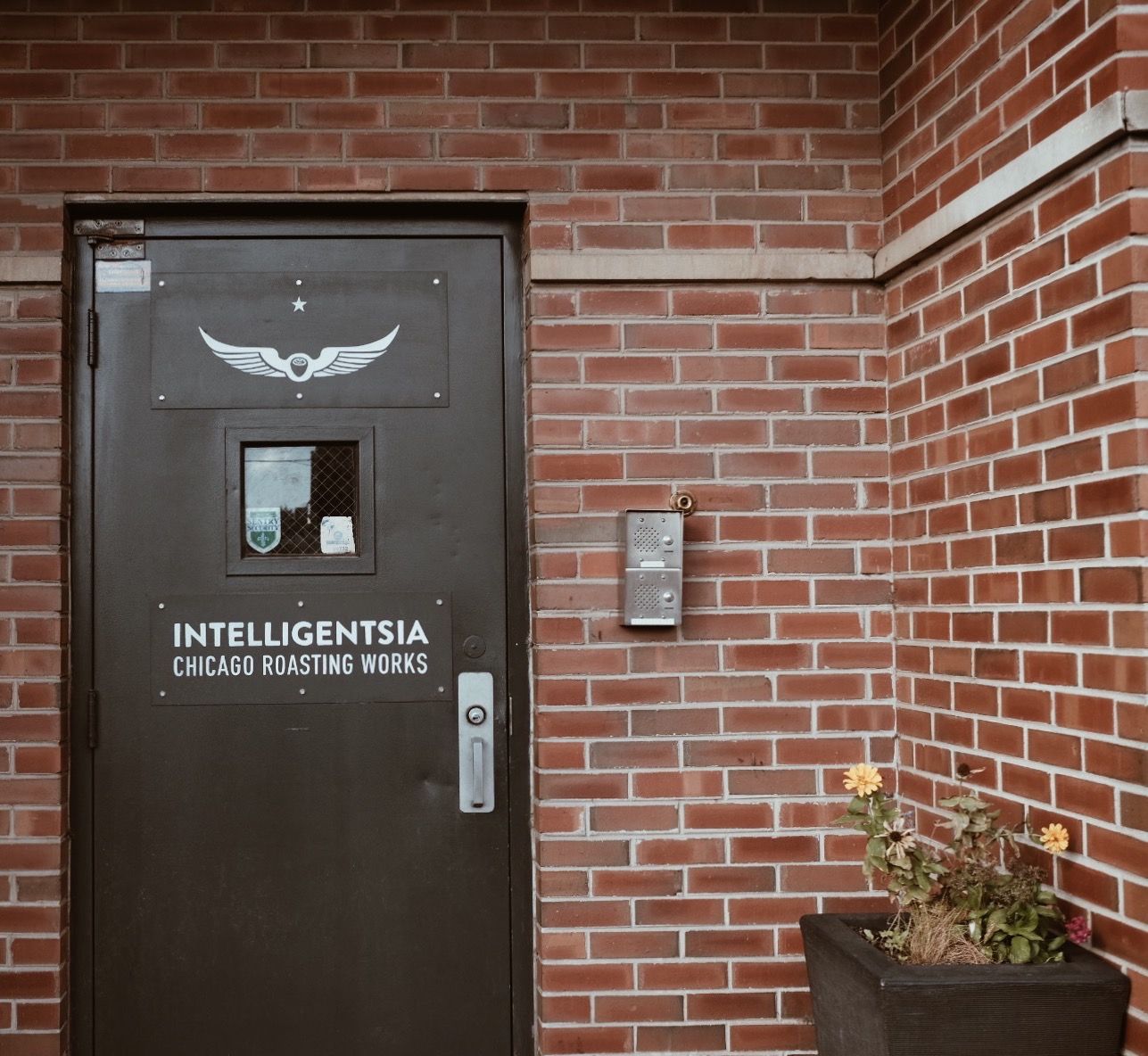 INTELLIGENTSIA HQ