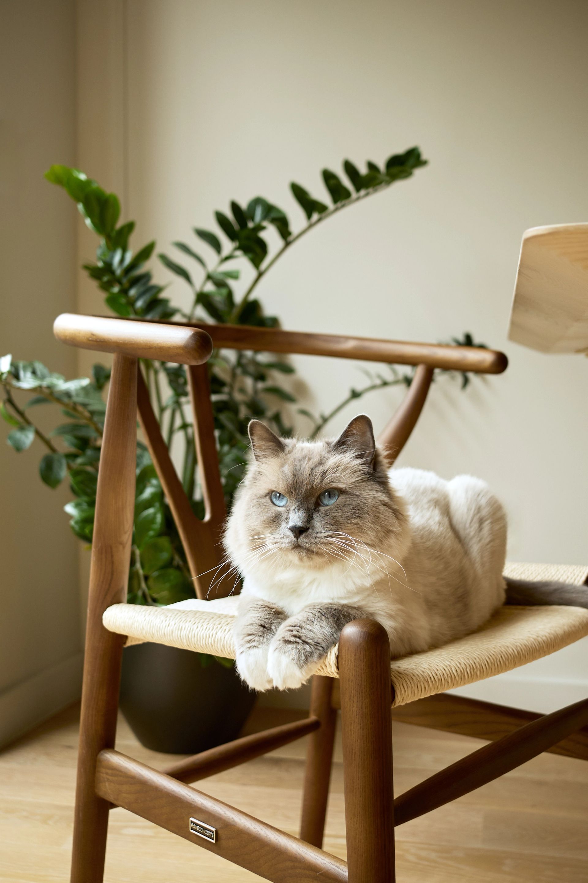 Williamsburg Townhouse - Residential project view 7