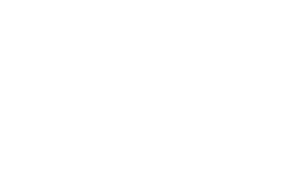 Havan