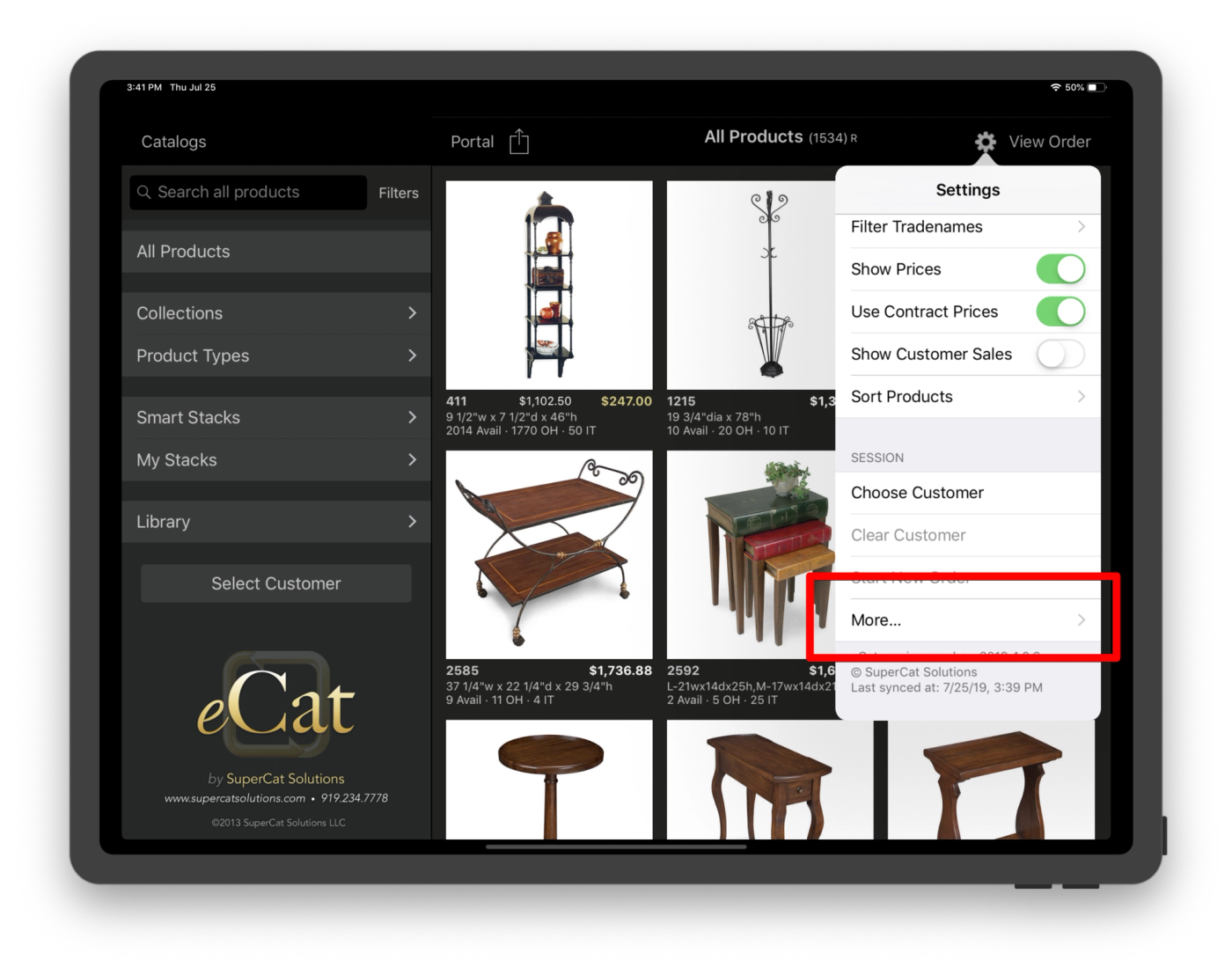 eCat iPad Settings menu with the More... option highlighted near the bottom, below the Session options.