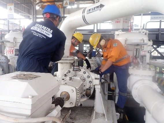 Check Bearing illustration