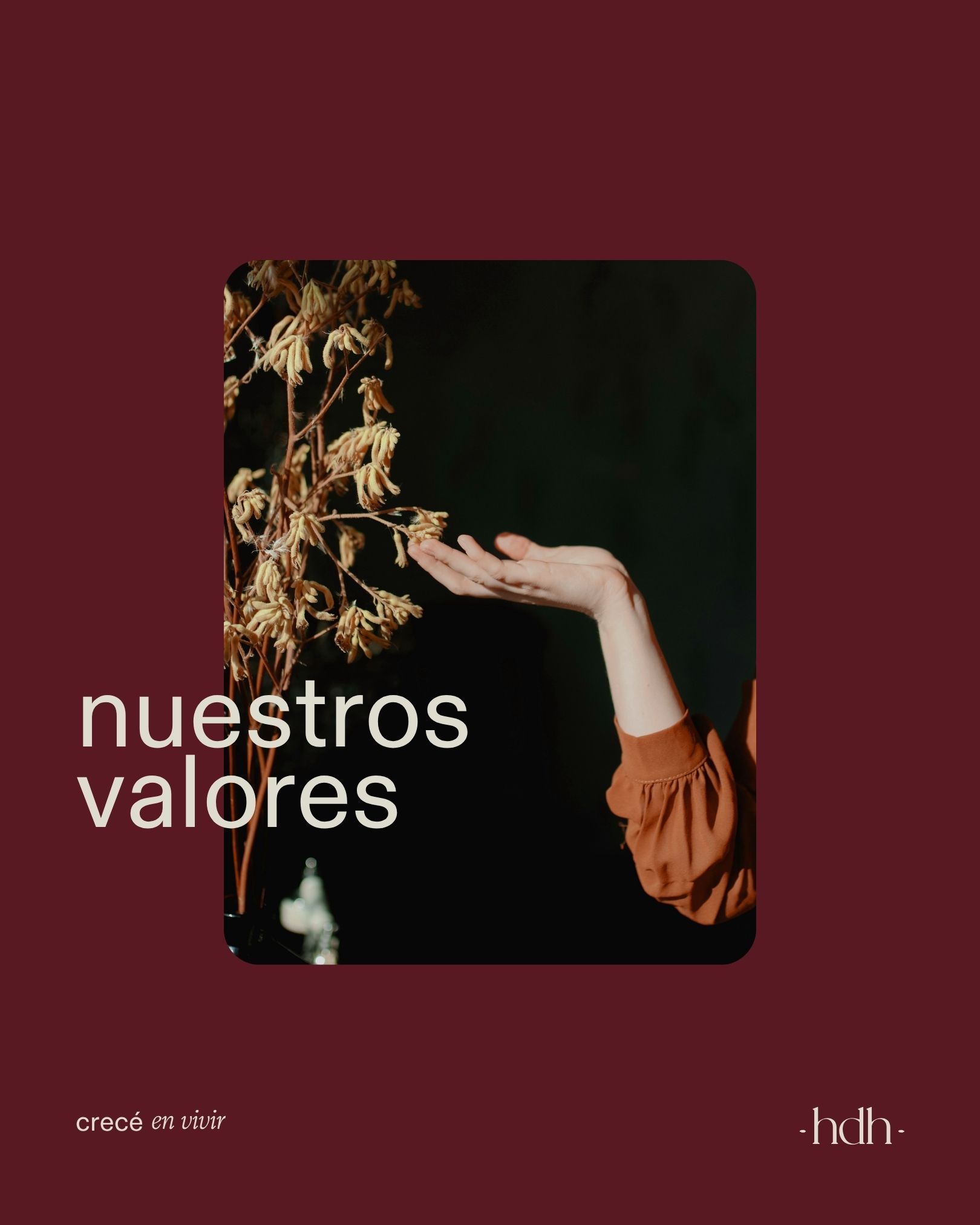 nuestros valores