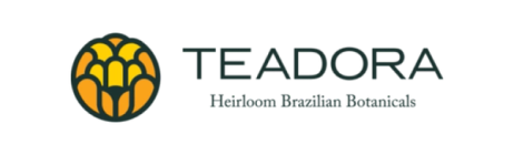 Teadora