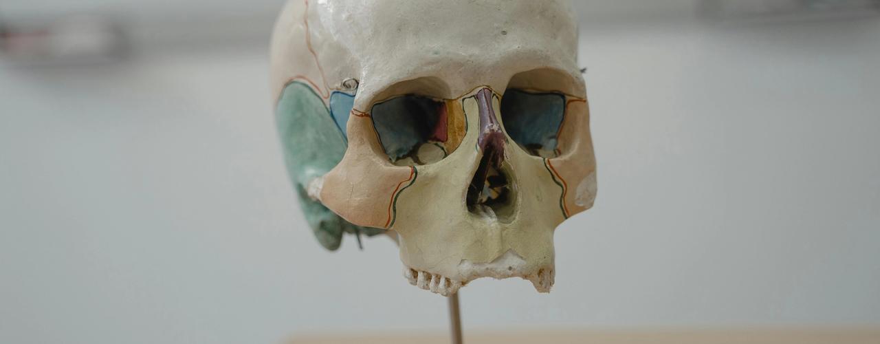 Effect of Smoking on Bone Health and Osteoporosis Risk - KEA HEALTH