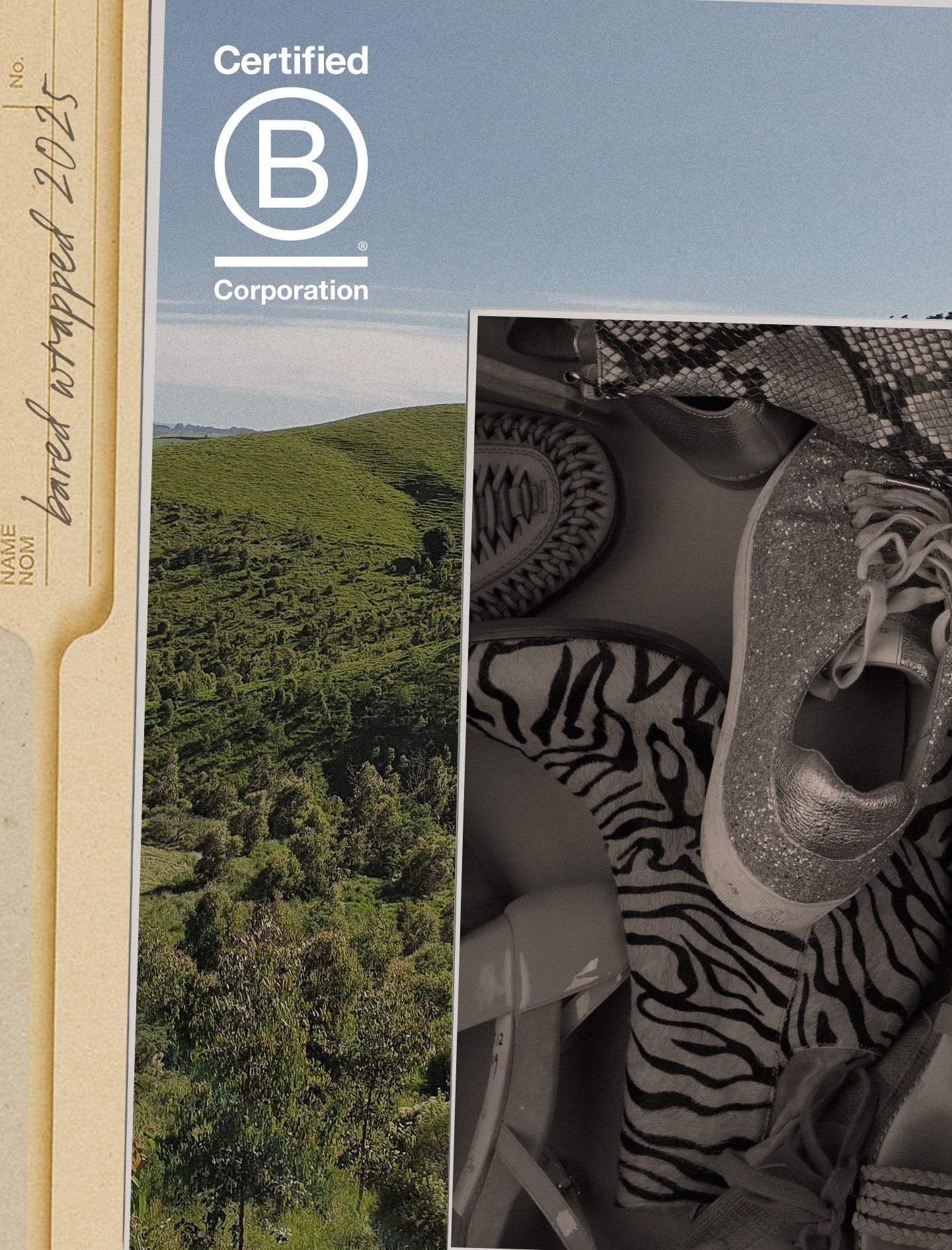 B Corp