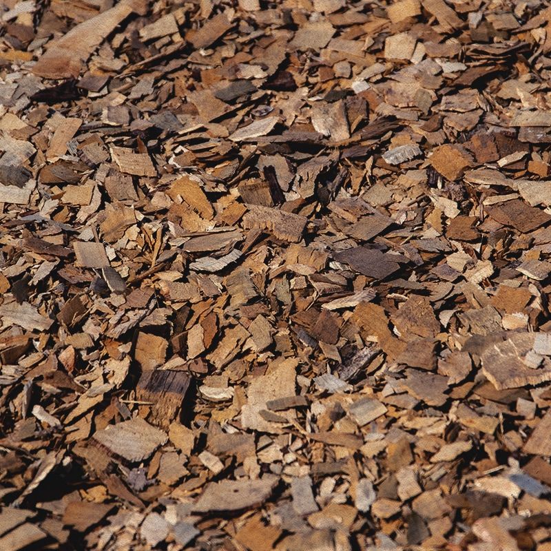 Wood Pulp