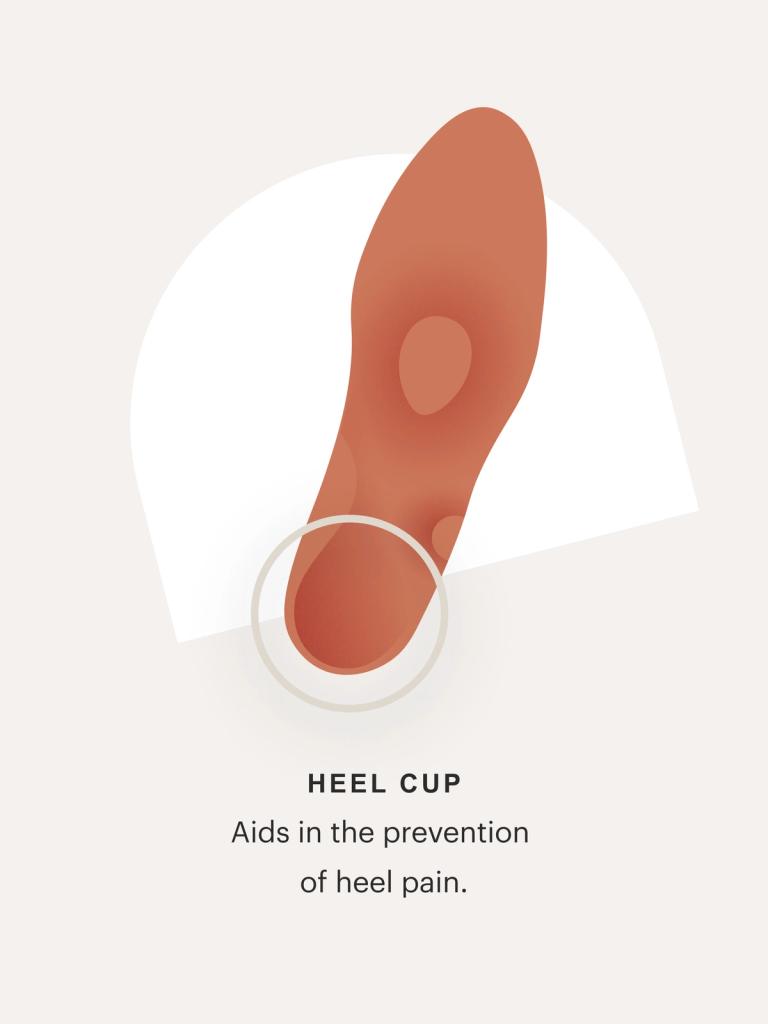 Heel cup: Aids in the prevention  of heel pain.