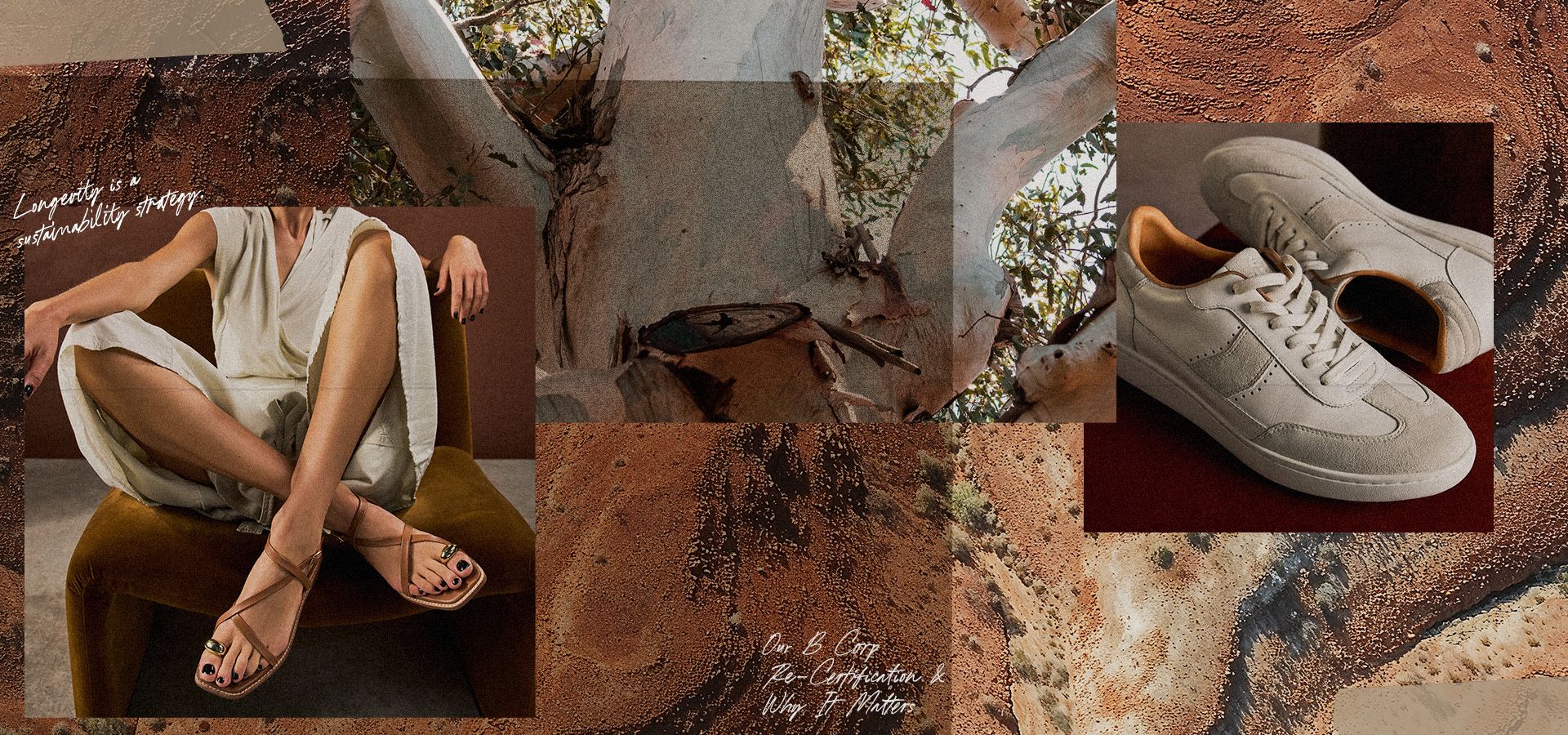 Banner DT
