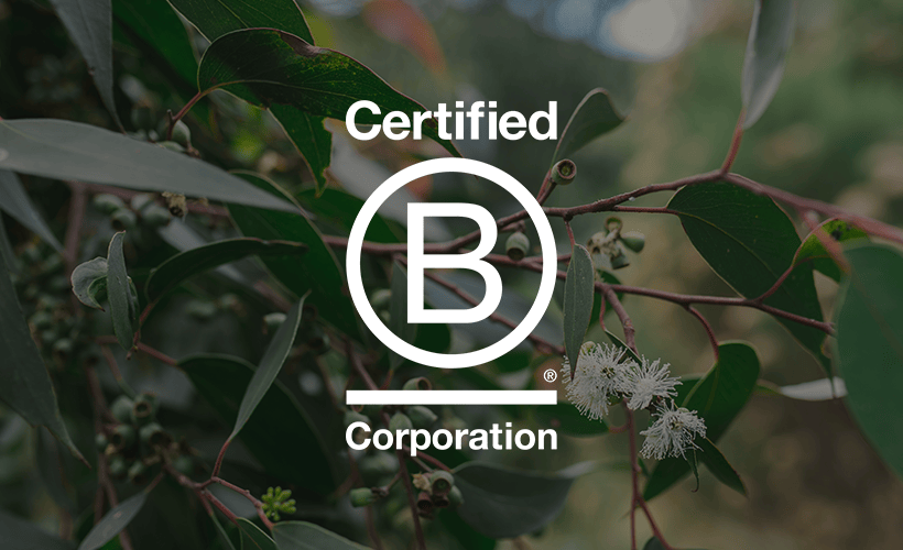 B Corp Certified