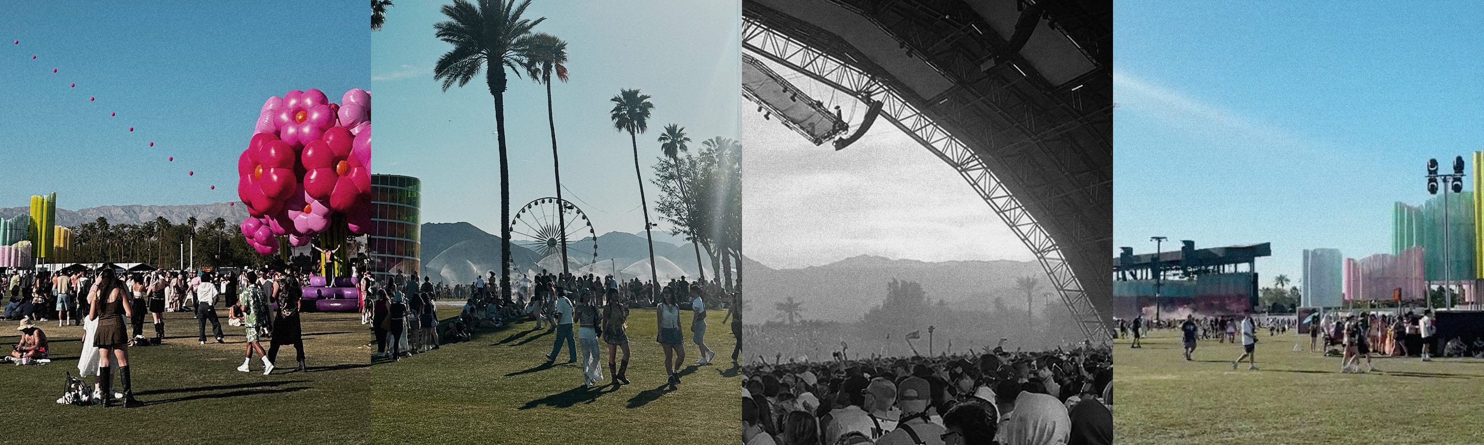 Bared x Coachella 2025