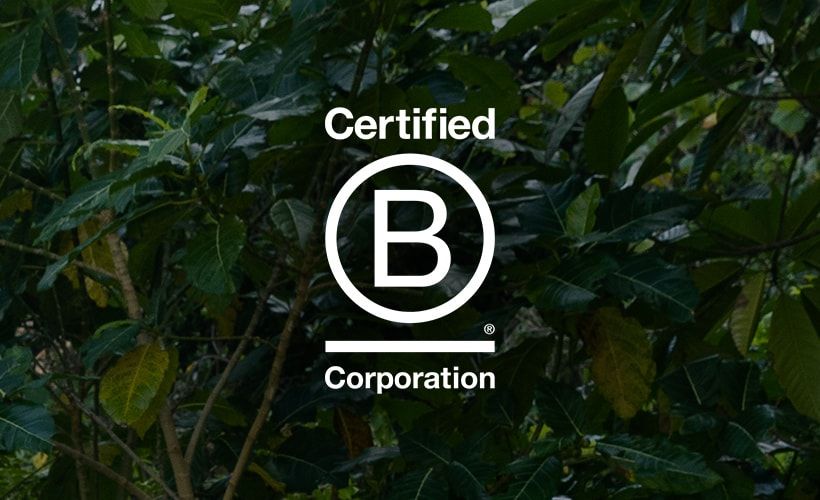 B Corp Certified