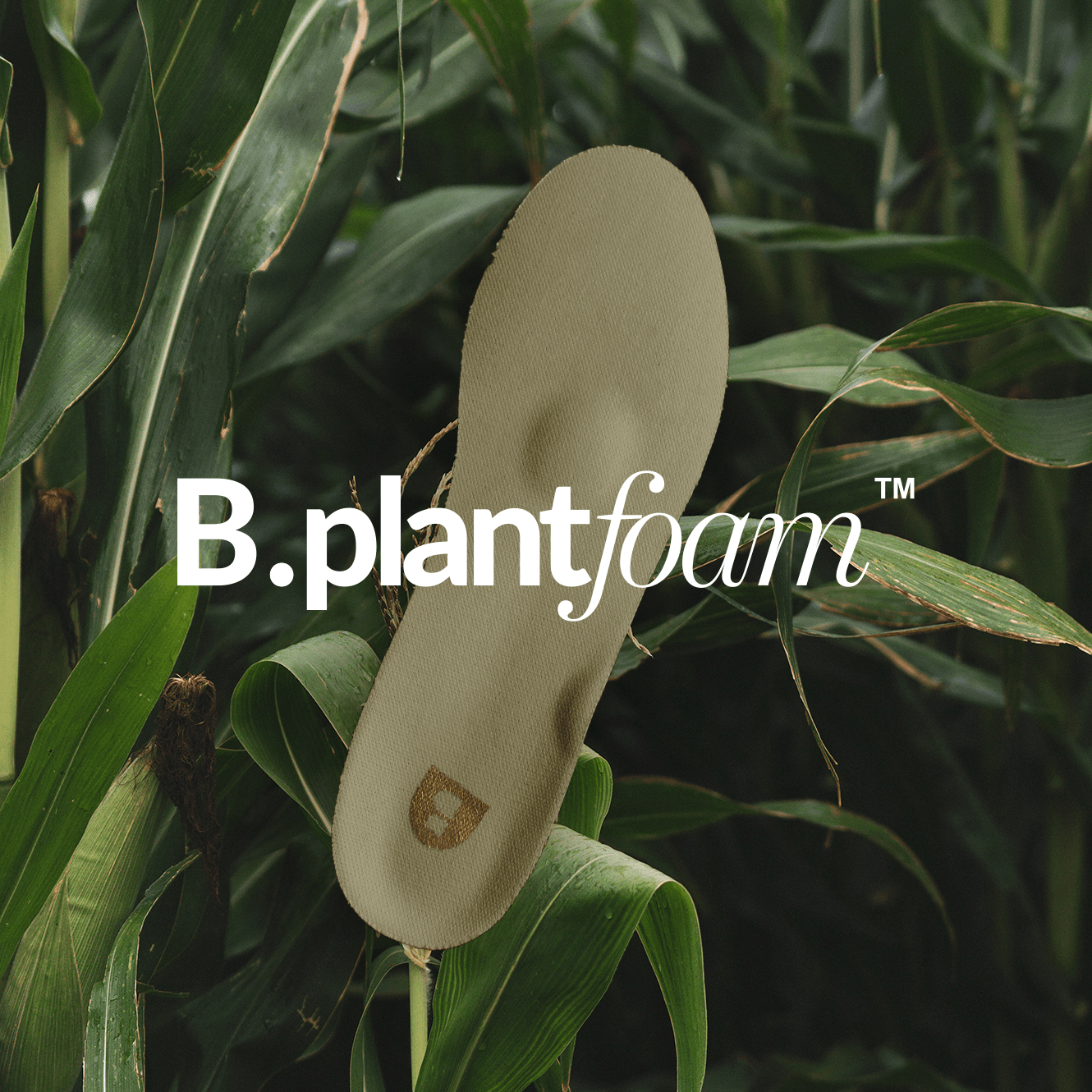 B.plantfoam image