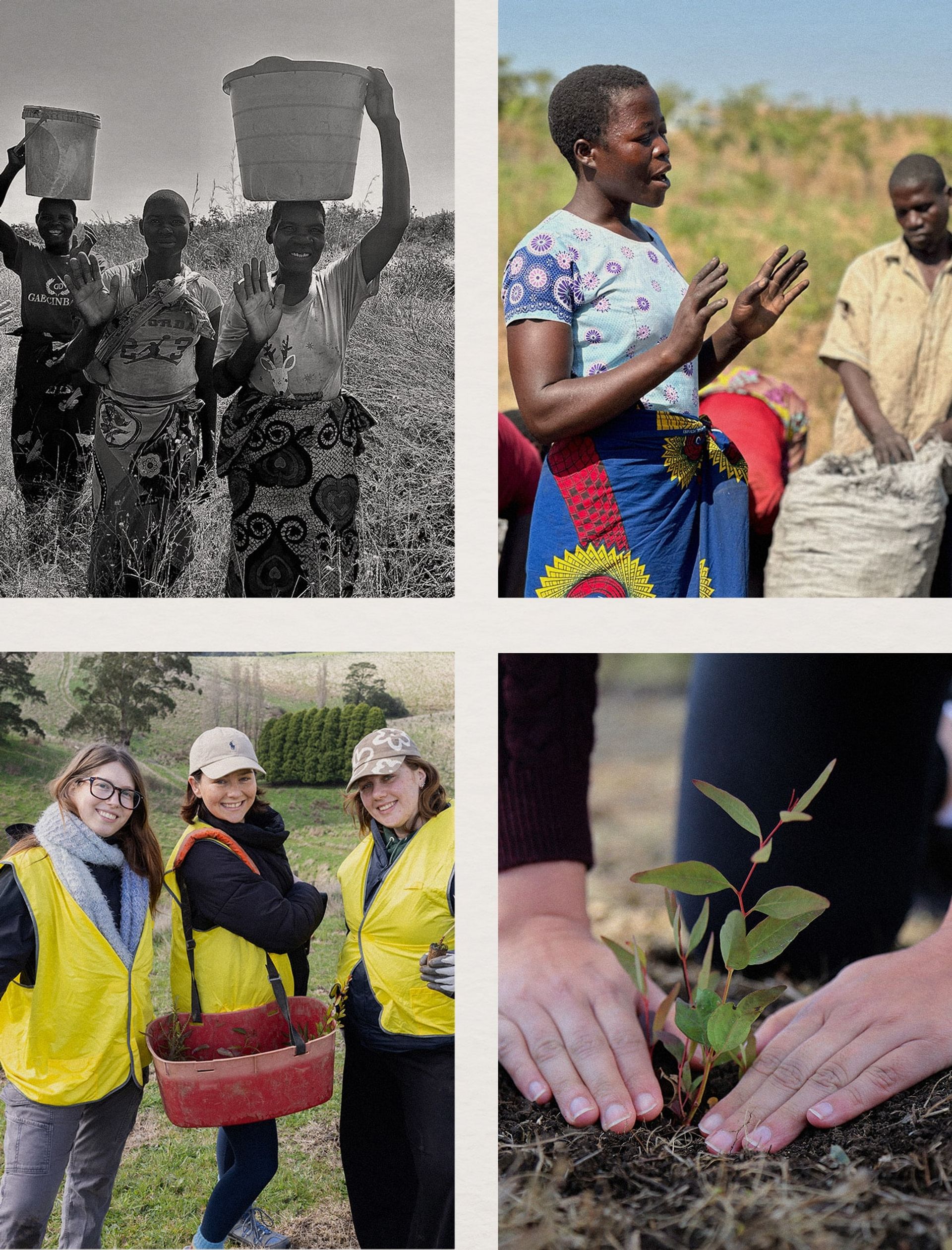 Impactful Milestones