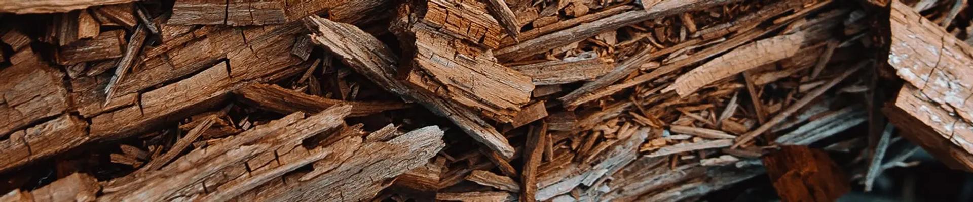 Wood Pulp