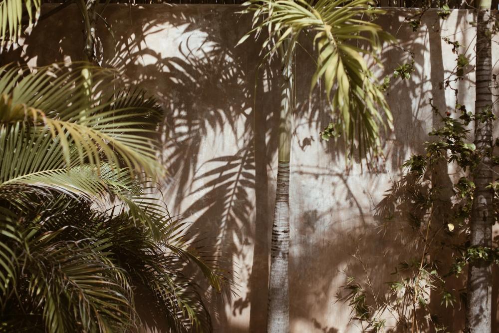 Bared_Footwear_Womens_Summer_Sandal_Campaign_Desu_House-Bali