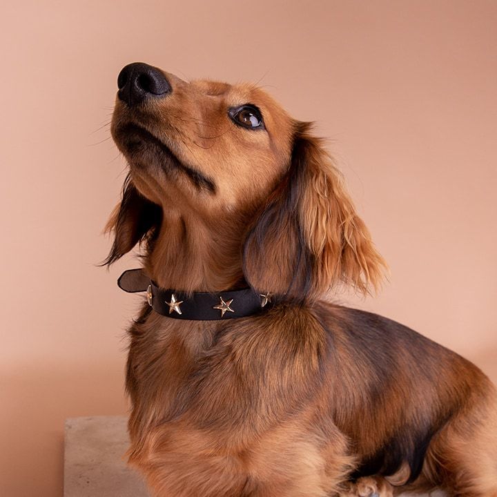 Off-Cut Collars