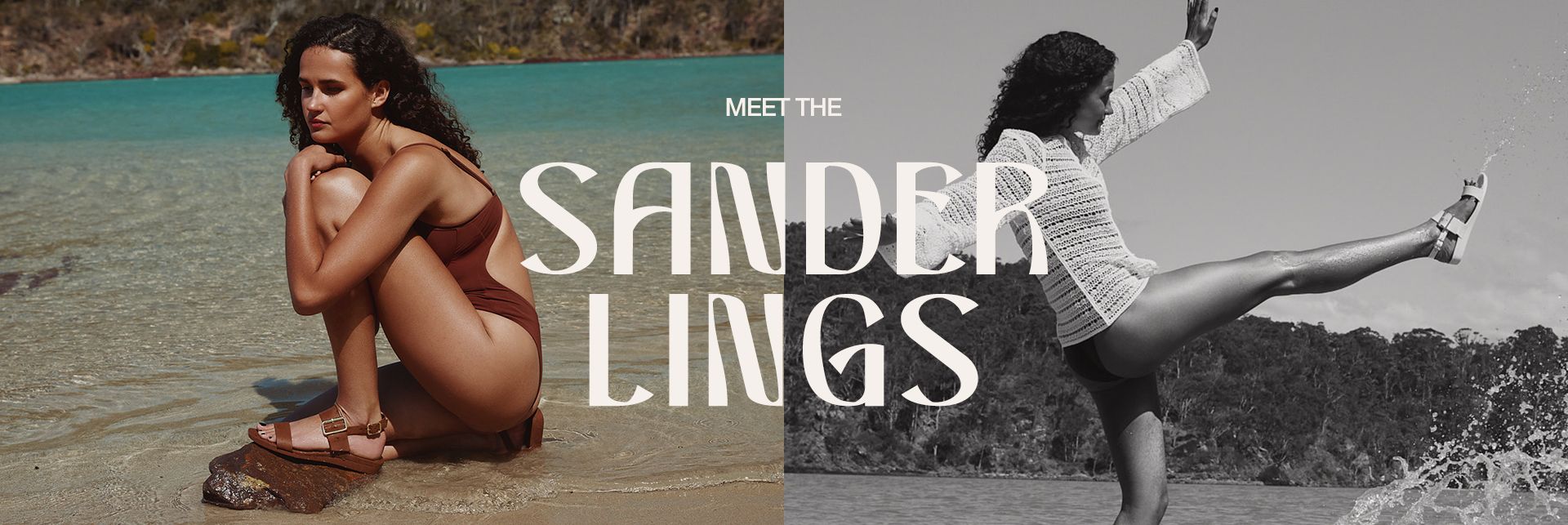 Meet the Sanderlings