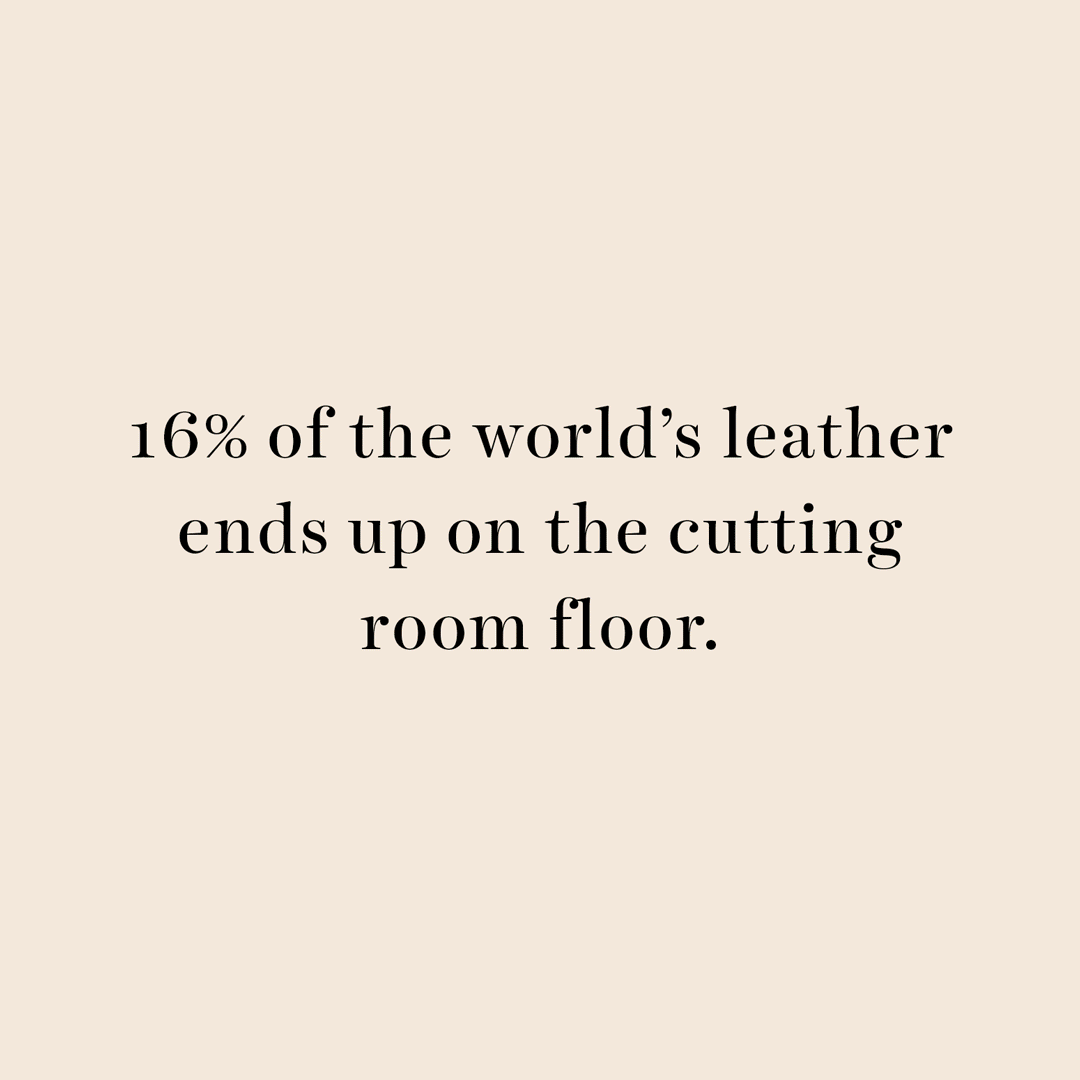 Bared_Footwear_Off_Cut_Collars_Dogs