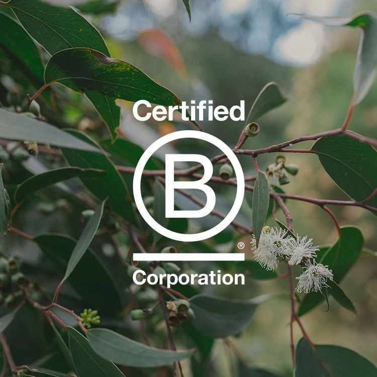 B Corp Certified