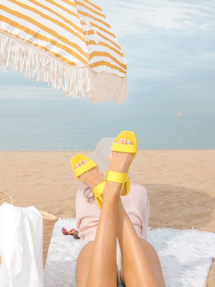 Meet the Sanderlings