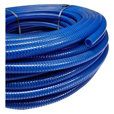 MANG SUCCAO E DESC AZUL 2