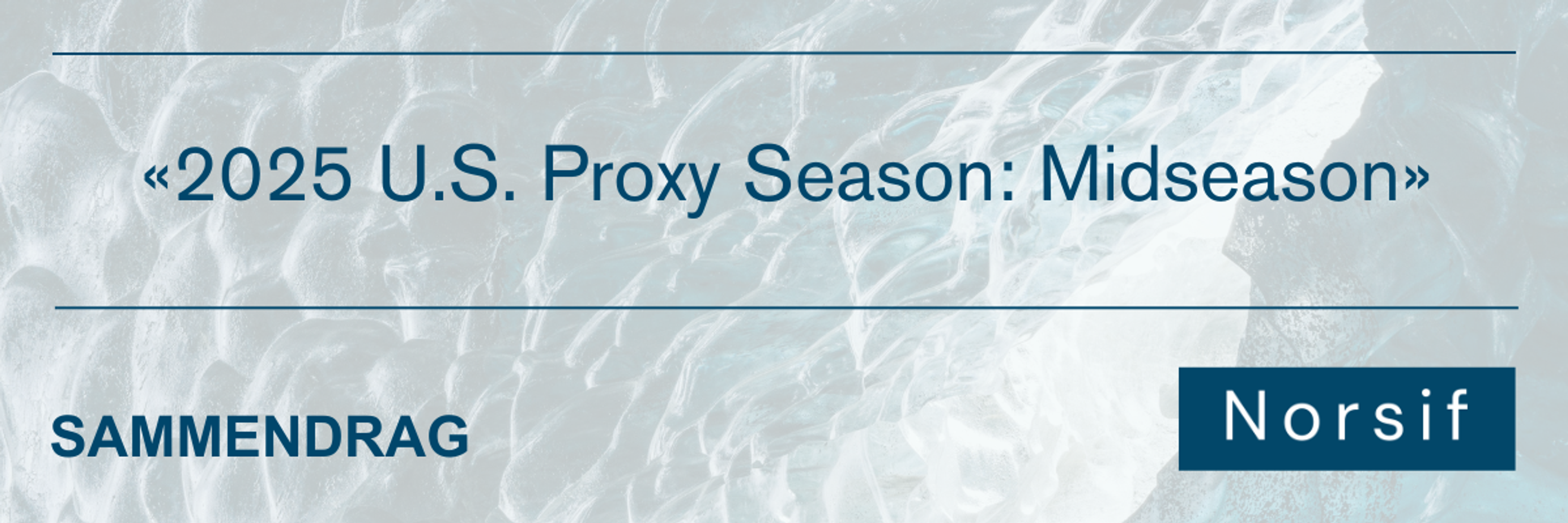 «2025 U.S. Proxy Season: Midseason»