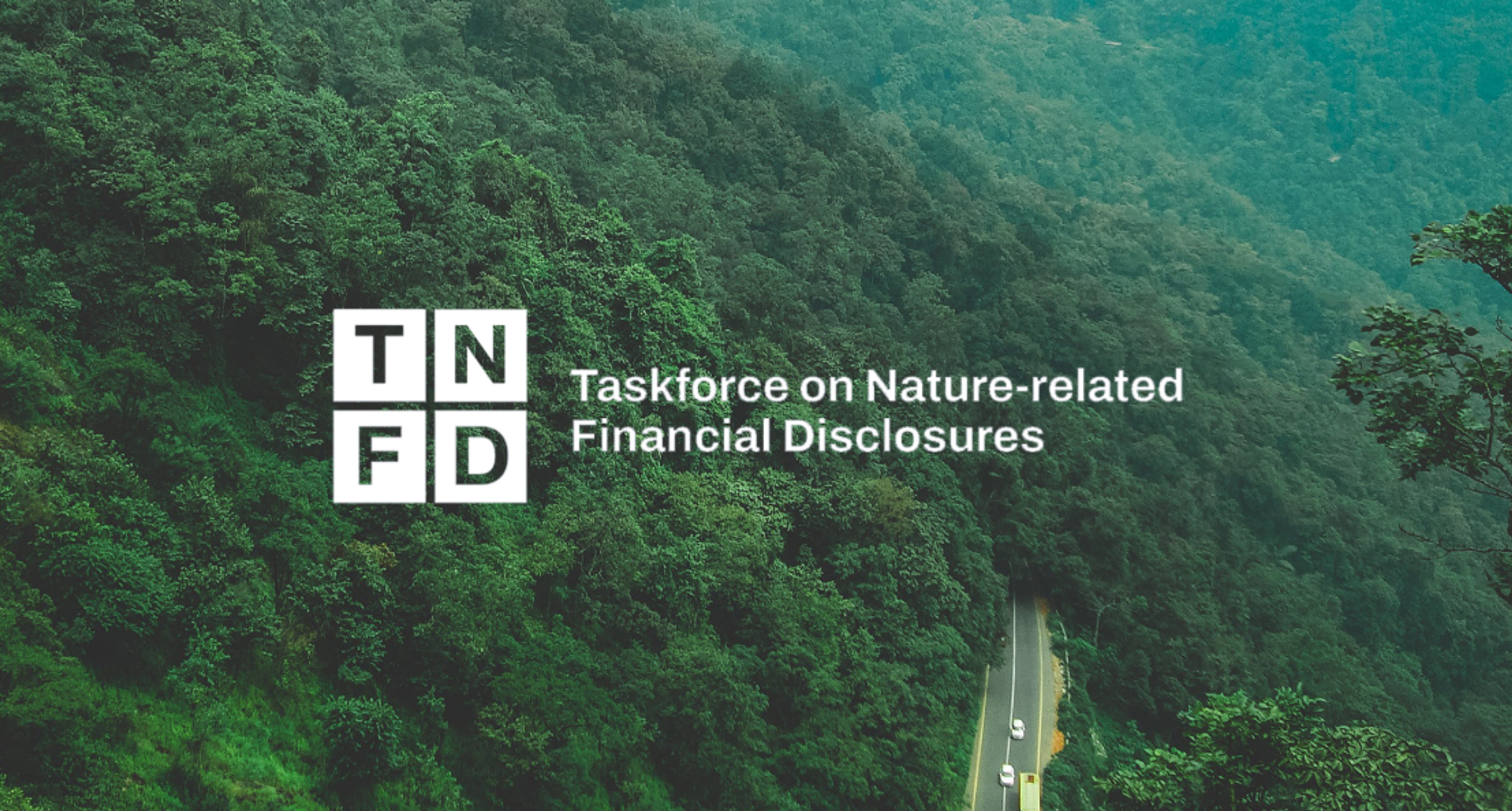 Norsif formidler: TNFD-webinar om investorers eierskapsutøvelse på naturrisiko