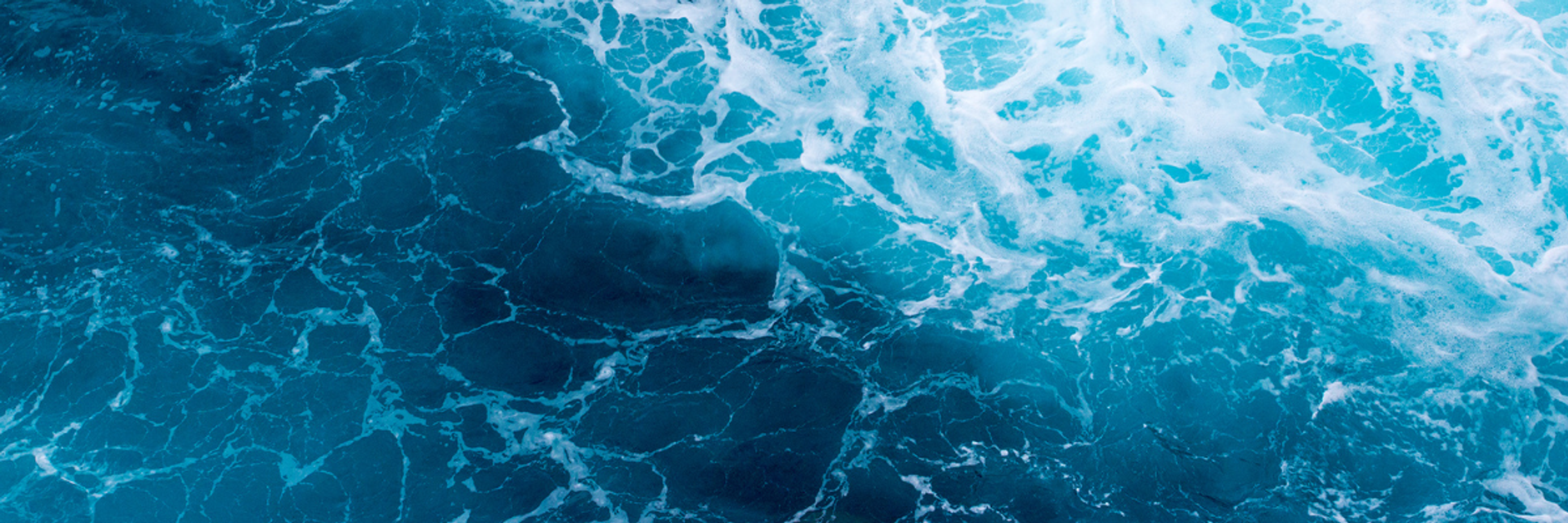 Norsif and NBIM: Perspectives on managing climate and nature risk as a financial investor