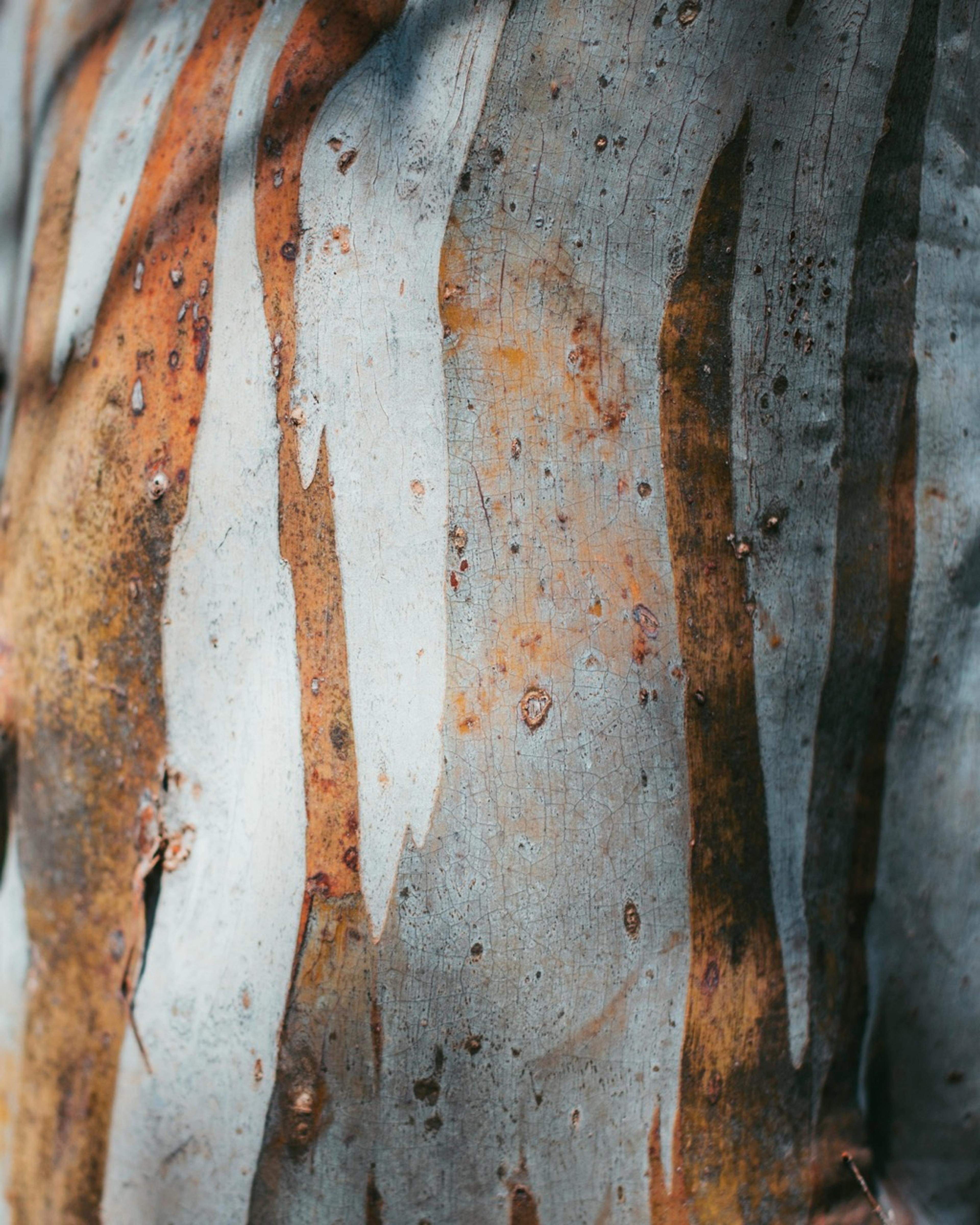 Sustainable Investment Opportunities in Emerging Markets