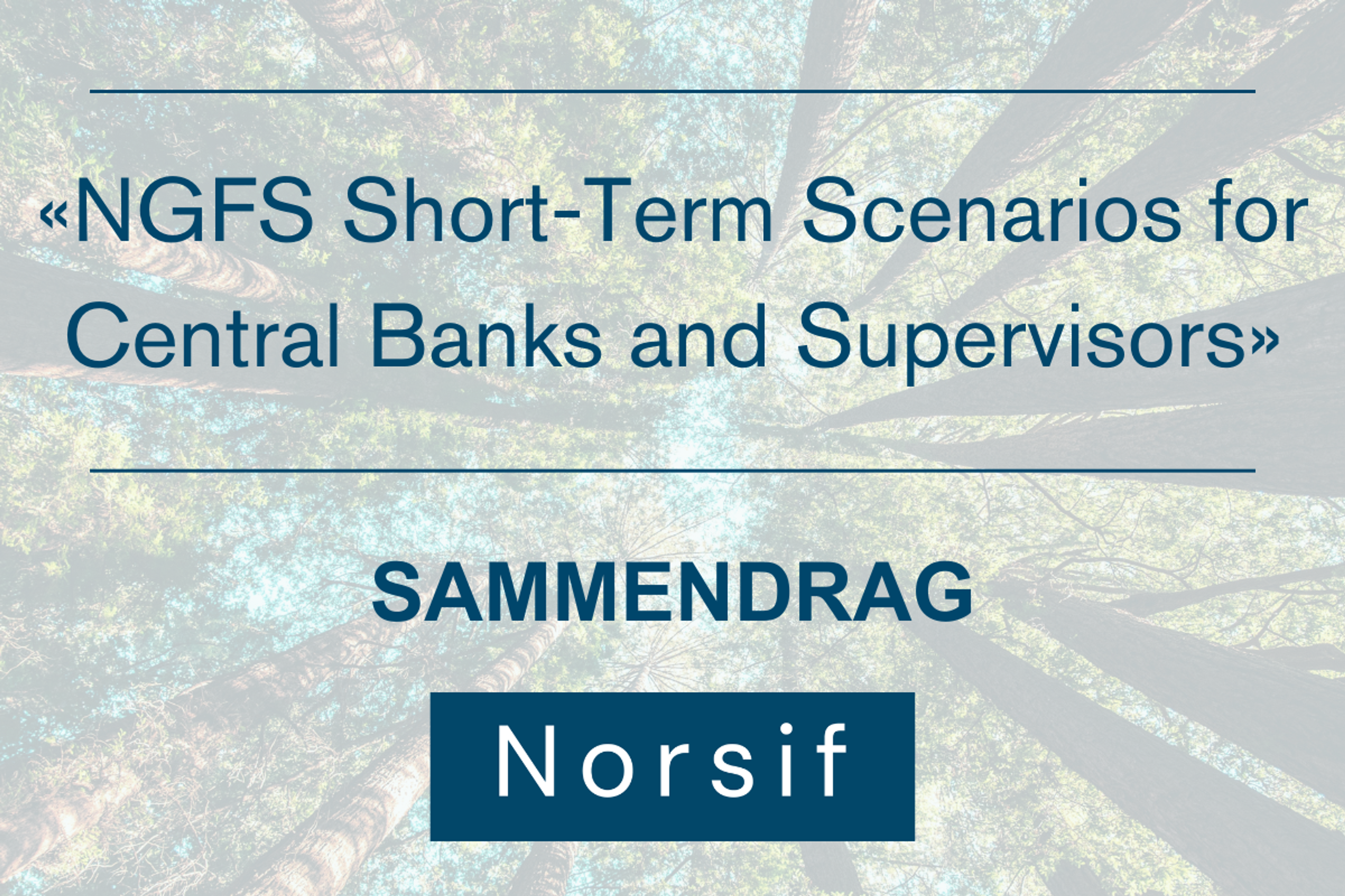 «NGFS Short-Term Scenarios for central banks and supervisors»