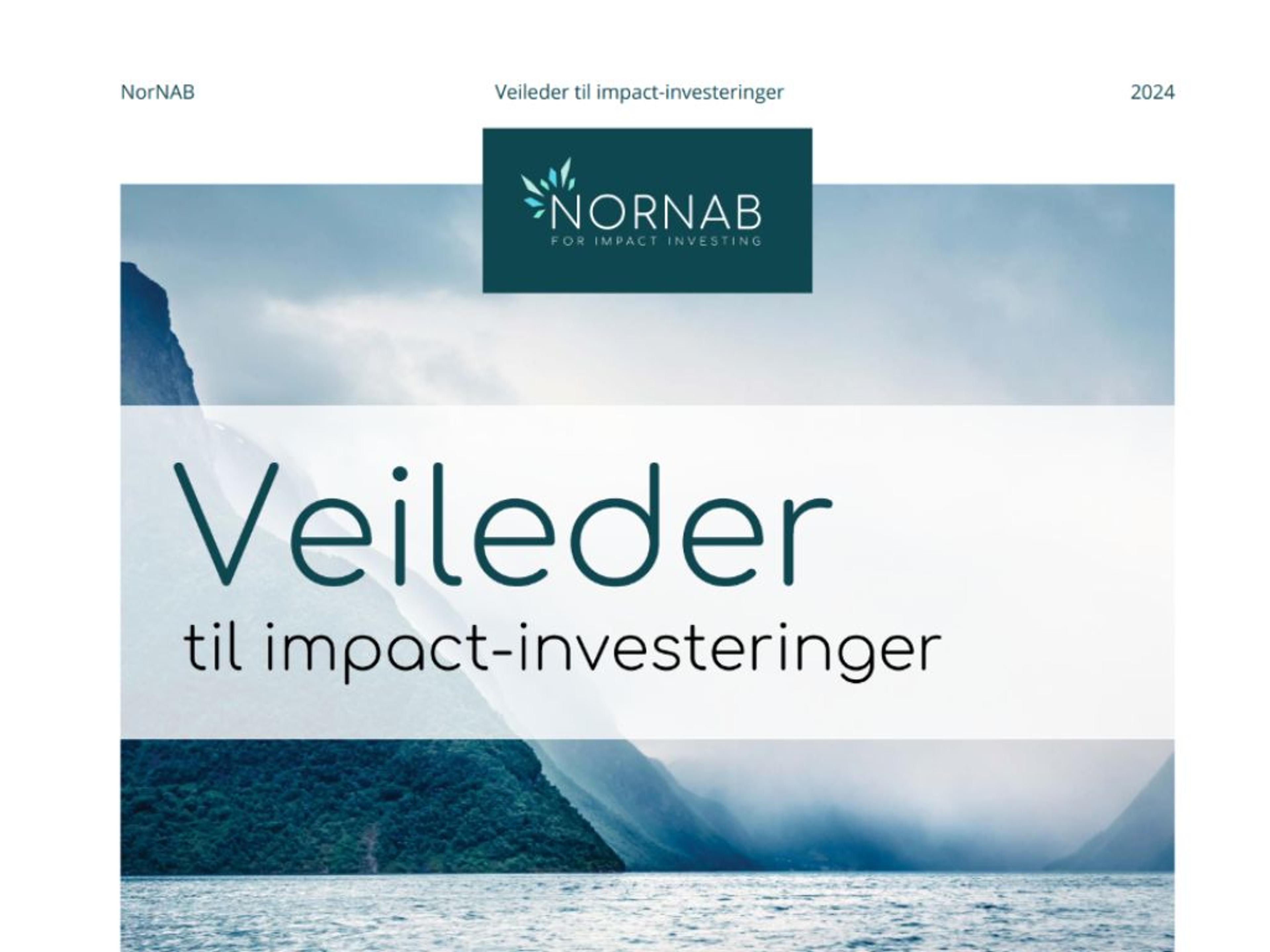 Veileder til Impact-investeringer