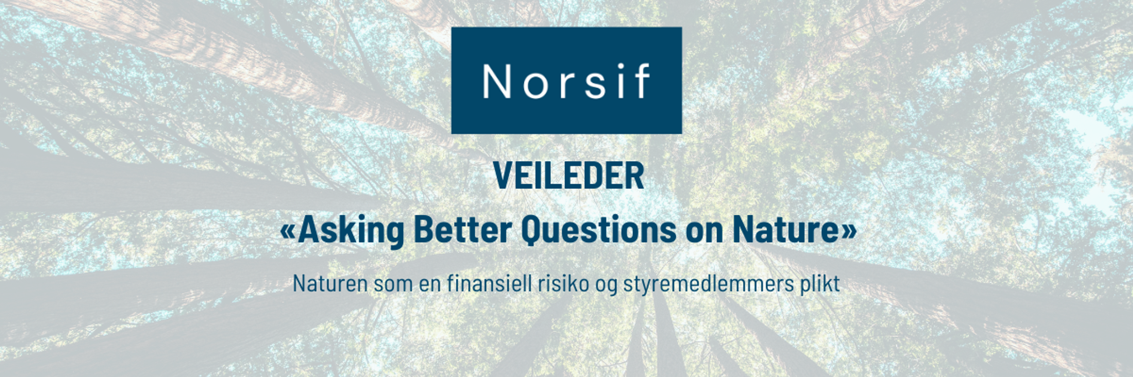 Naturen som en finansiell risiko og styremedlemmers plikt