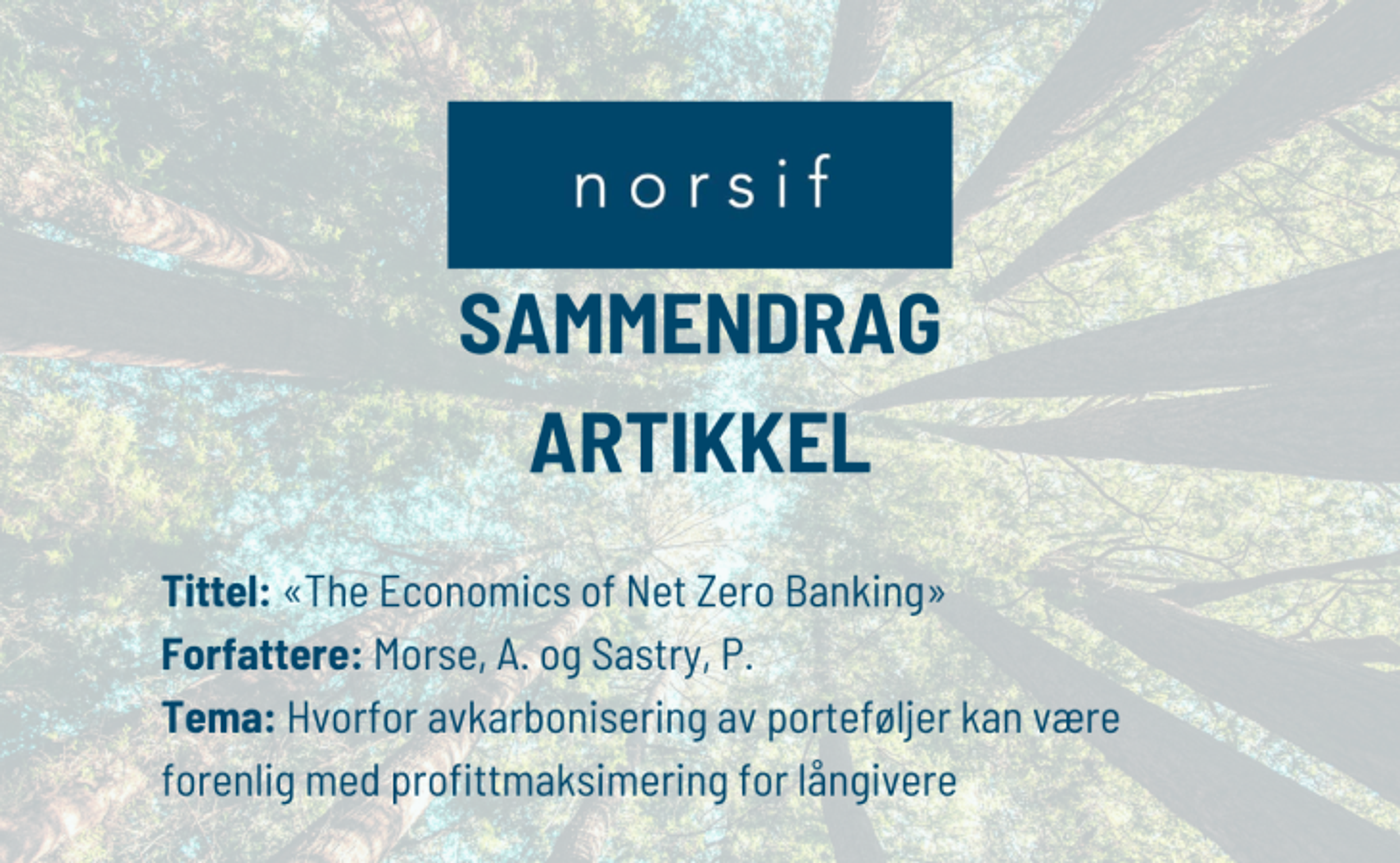 Sammendrag: «The Economics of Net Zero Banking»