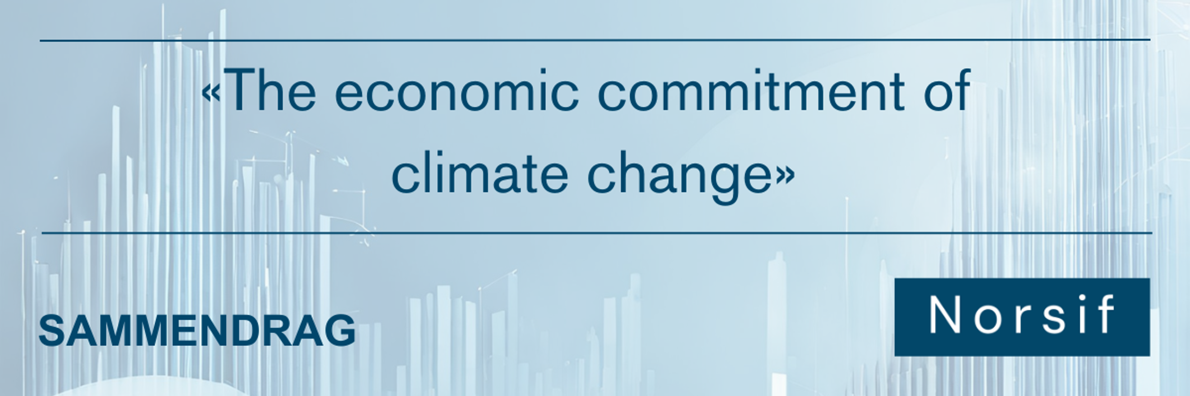 «The economic commitment of climate change»