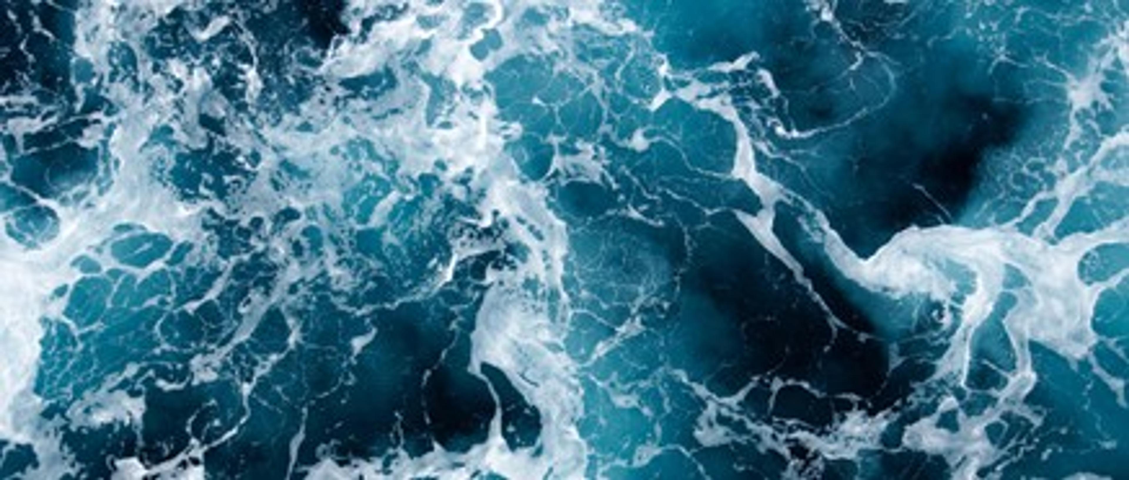 Norsif and NBIM: Perspectives on managing climate and nature risk as a financial investor