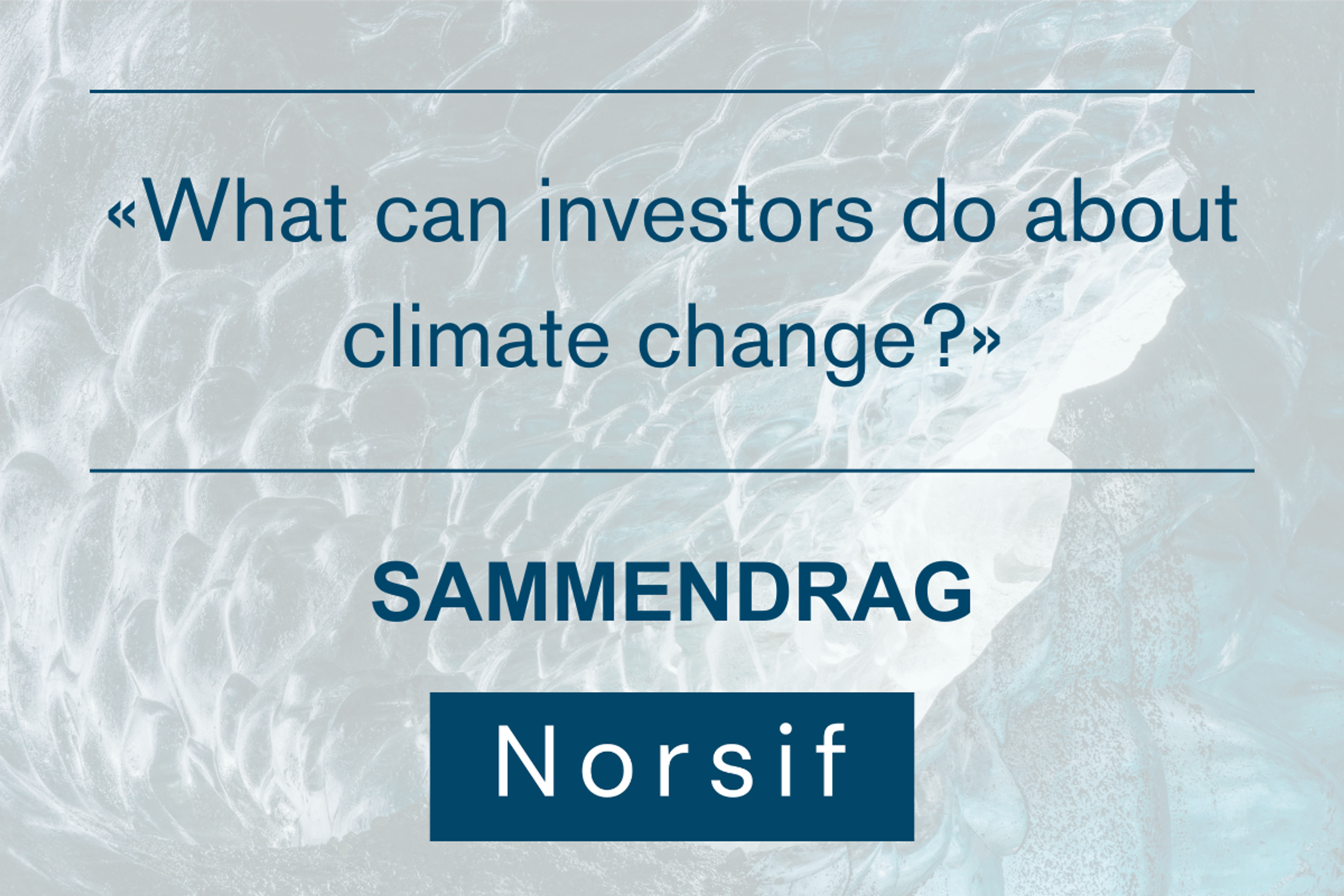 «What can investors do about climate change?»