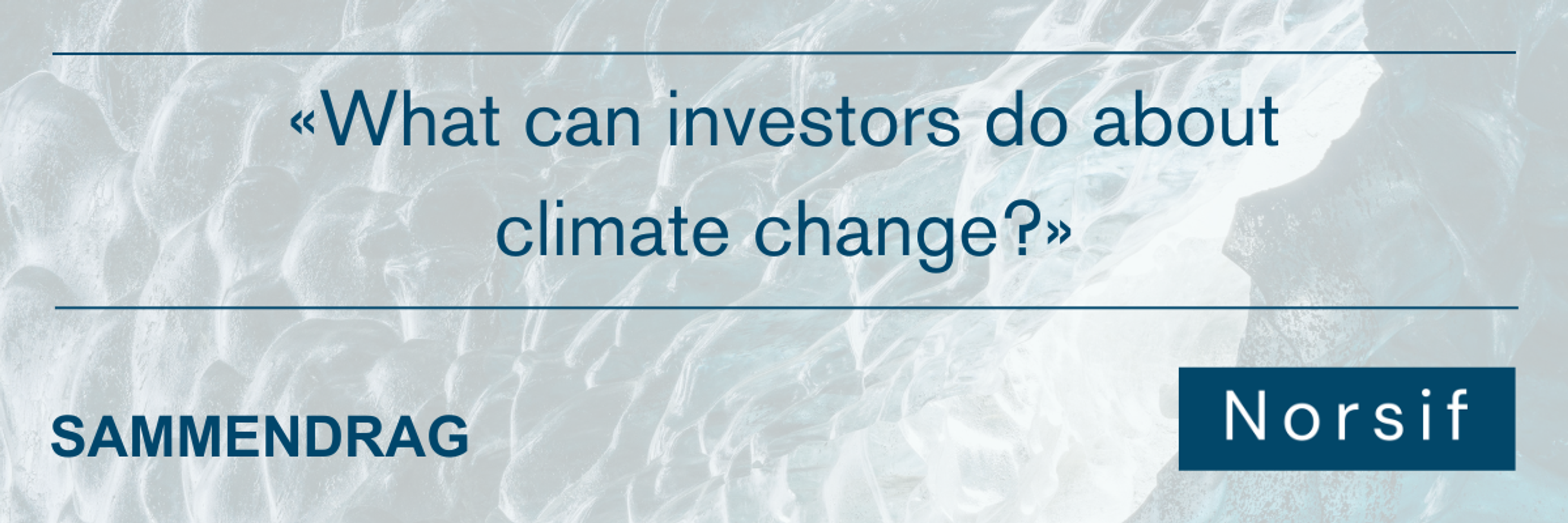 «What can investors do about climate change?»