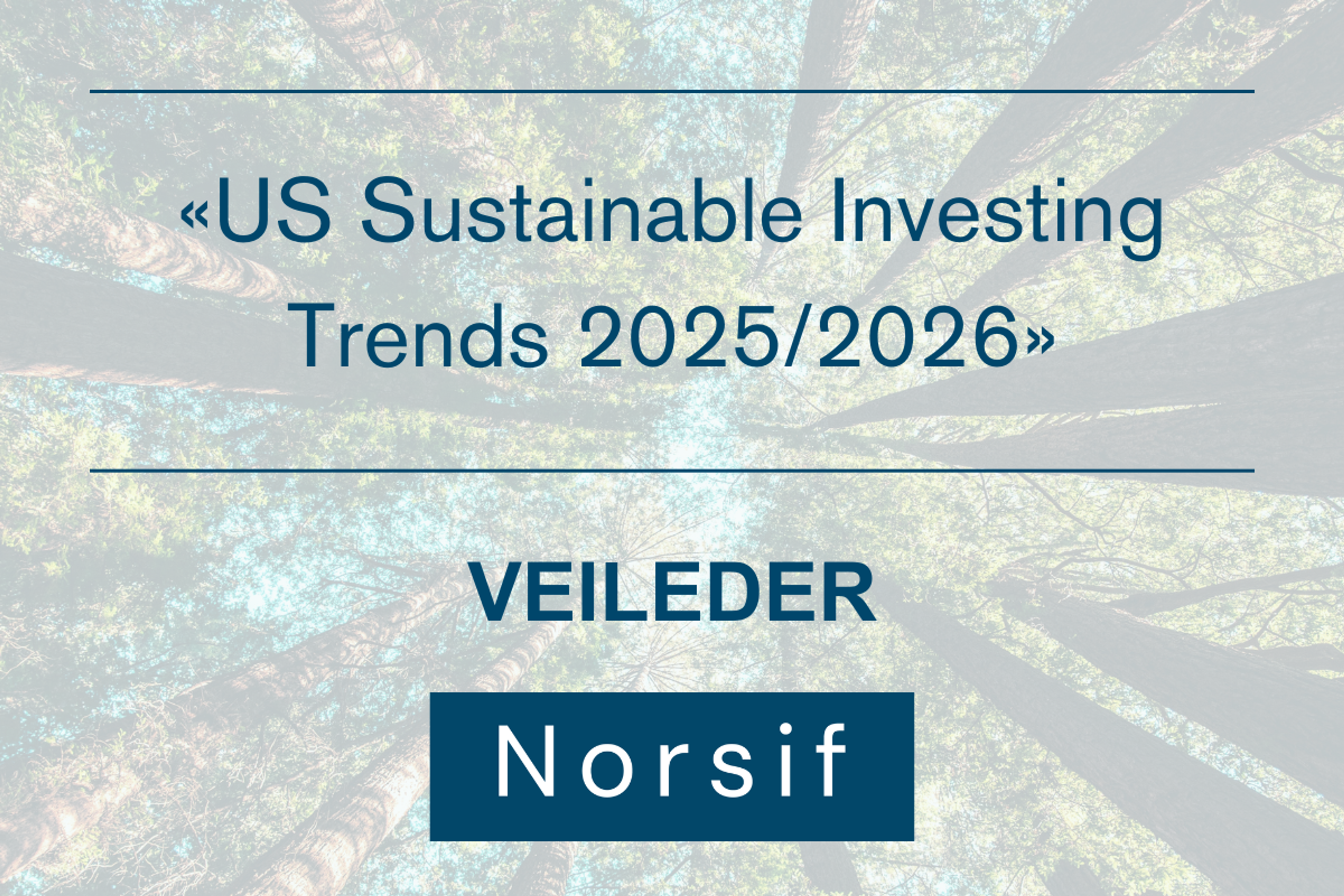 «US Sustainable Investing Trends 2025/2026»