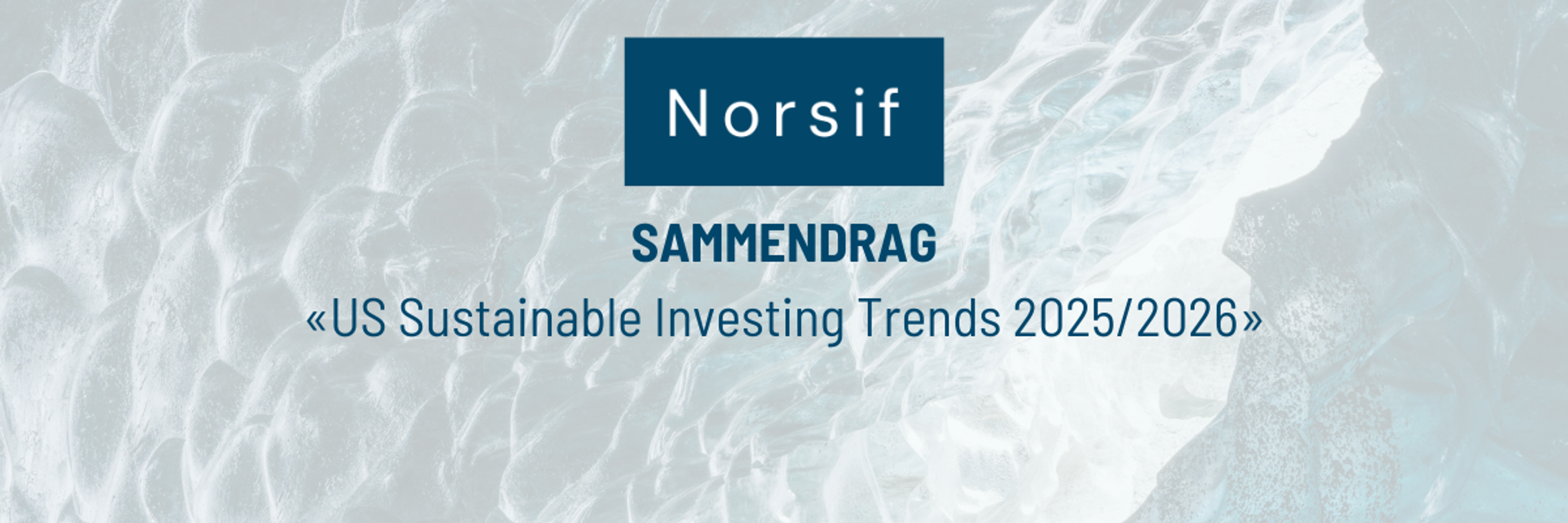 Sammendrag av rapport: «US Sustainable Investing Trends 2025/2026»