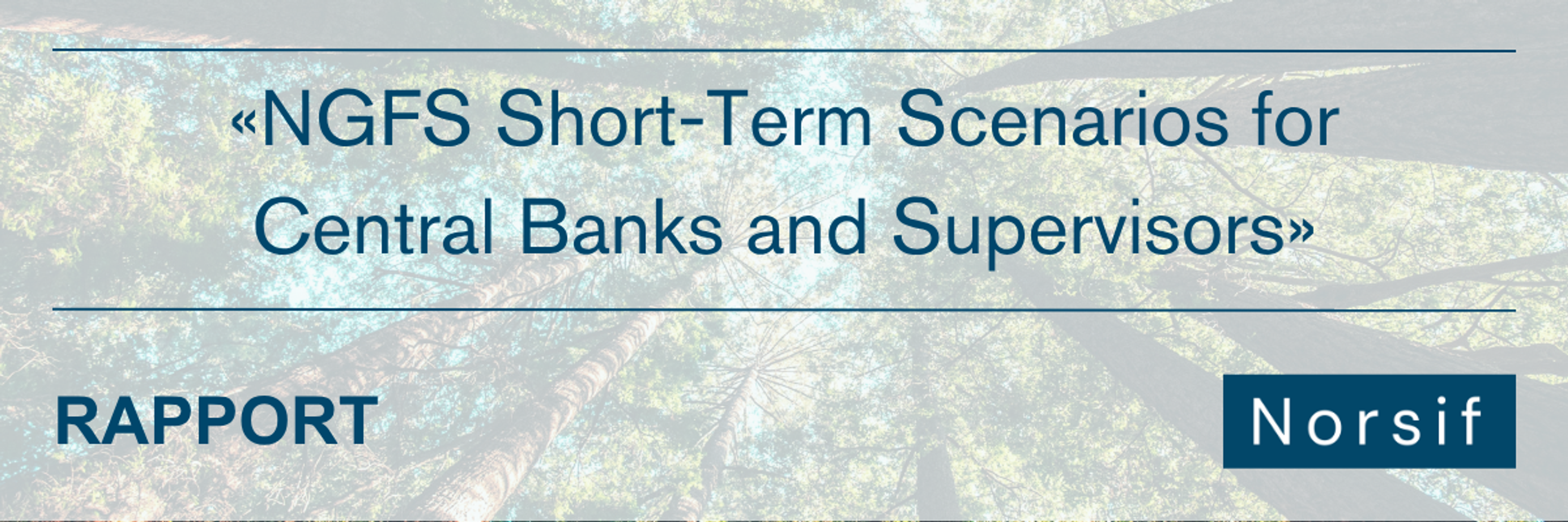 «NGFS Short-Term Scenarios for central banks and supervisors»