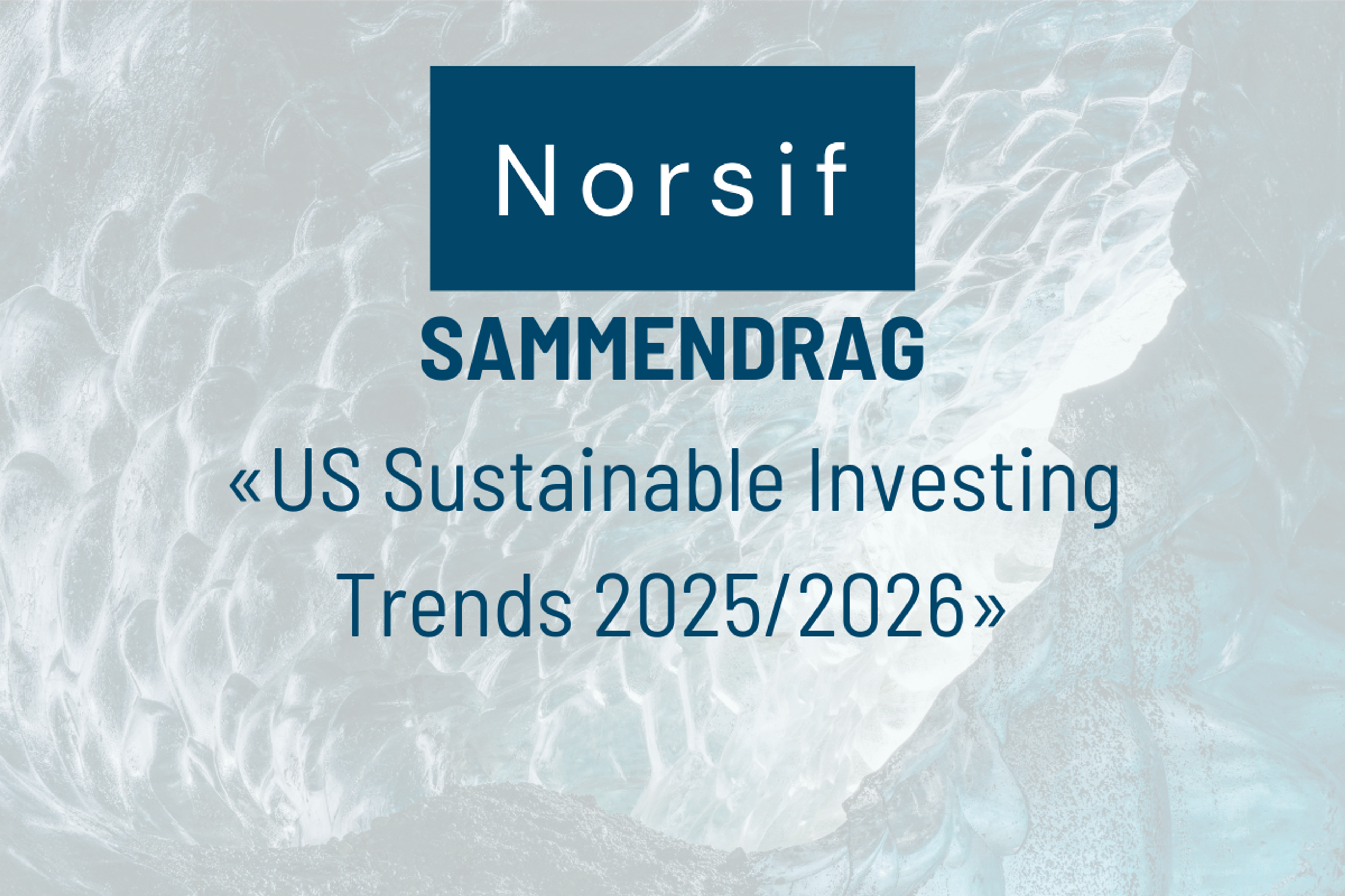 Sammendrag av rapport: «US Sustainable Investing Trends 2025/2026»