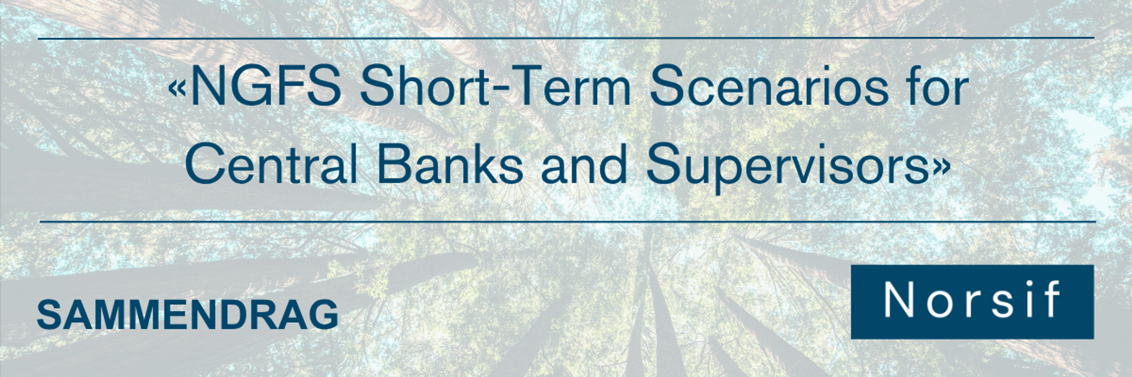 «NGFS Short-Term Scenarios for central banks and supervisors»